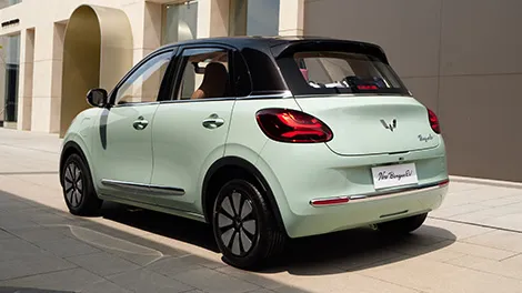 Impressive Two Tone Body Color