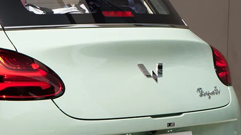 Streamlined Ducktail